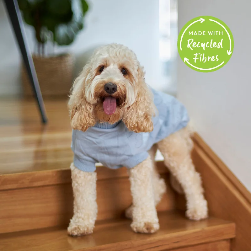 - ​​Pet toys under    yuanHeart Knit Dog Jumper - Blue