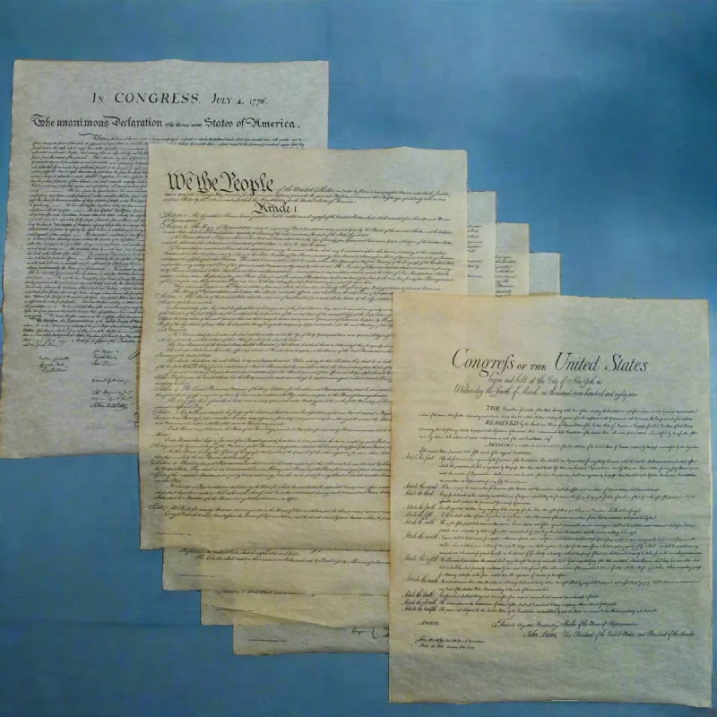  -Anti-scratch scratching board AND cat bed in oneCharters of Freedom Bundle with Four-page U.S. Constitution