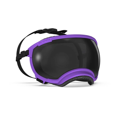 Frame Color: Pike Purple
