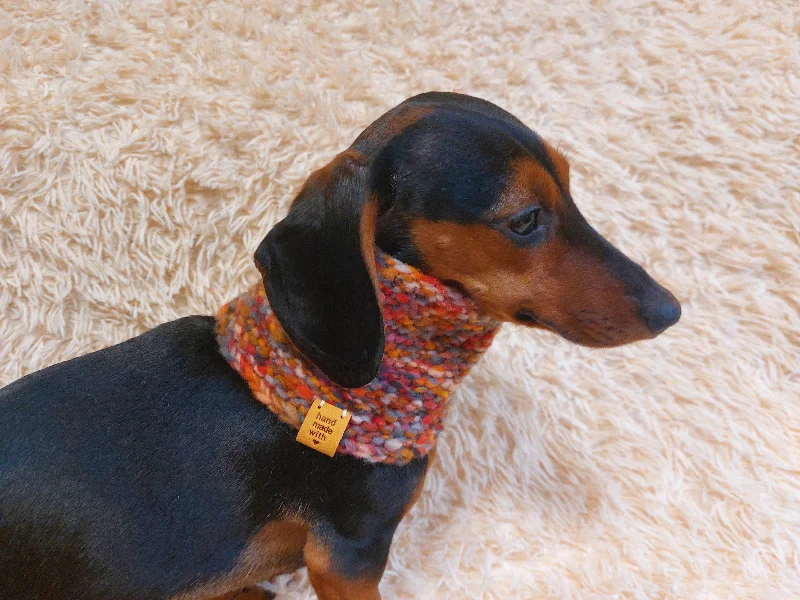 - Cat stress soothing spraySnood wool winter for dogs, warm neck dog wool snood, dachshund clothes winter snood scarf - Cat stress soothing spraySnood wool winter for dogs, warm neck dog wool snood, dachshund clothes winter snood scarf