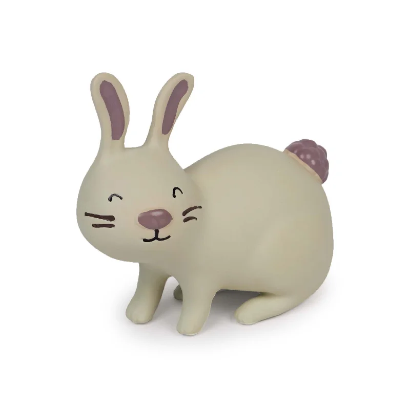  -Non-contact cat thermometerVivi the Bunny - Medium Squeaky Dog Toy