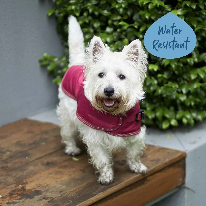 - Foldable and portable cat bagAdventure Dog Coat - Cherry