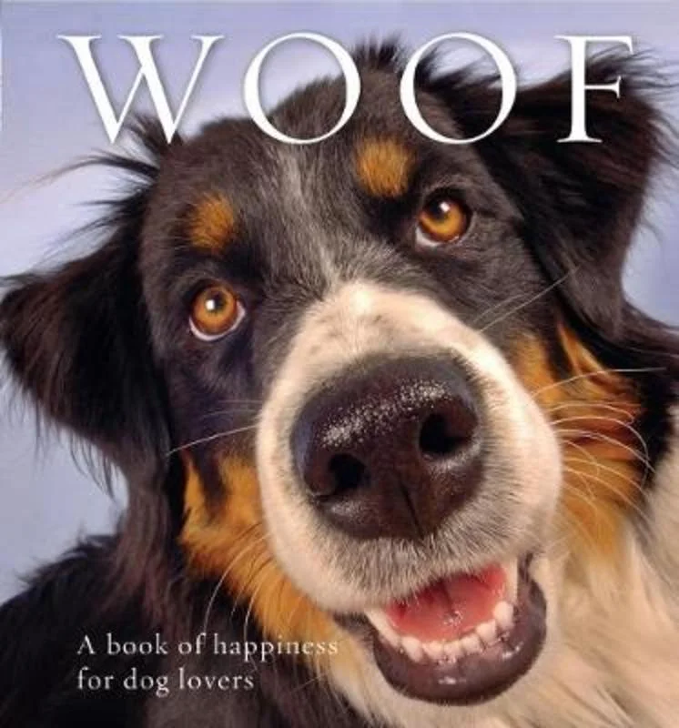 - Dog anti-slip matWoof