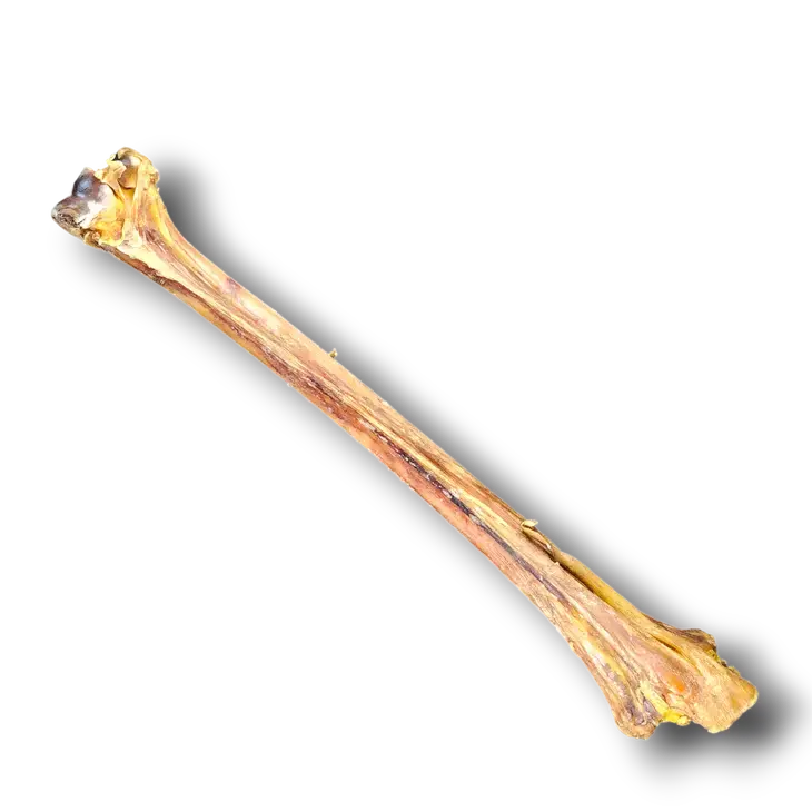 -Anti-scratch sofa protective coverSavannah Ostrich Long Bone Single Ingredient Novel Protein Dog Treat -Anti-scratch sofa protective coverSavannah Ostrich Long Bone Single Ingredient Novel Protein Dog Treat