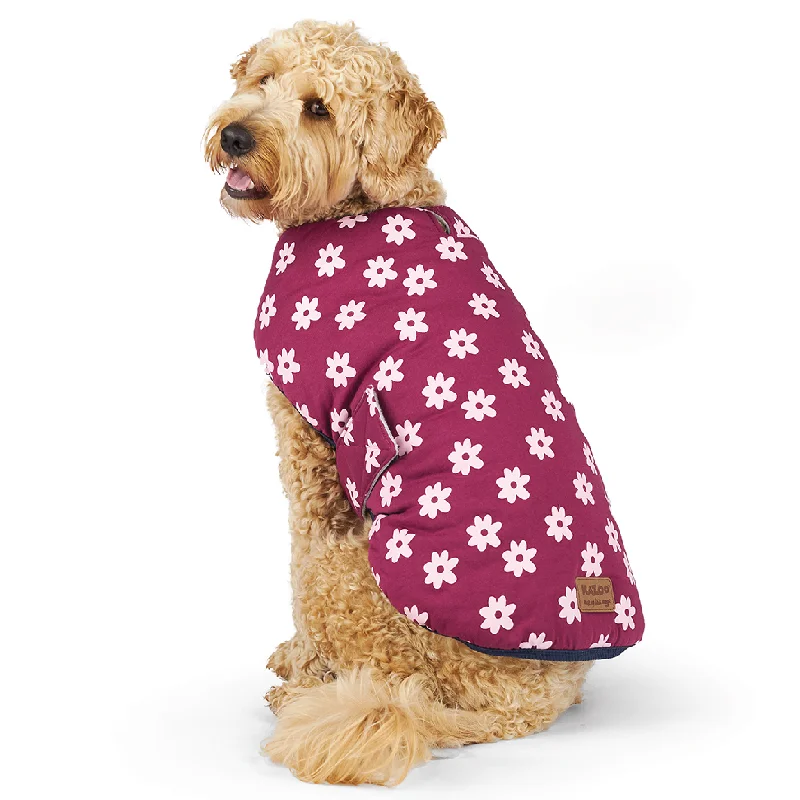  -Explosion-proof leash FOR LARGE dogsFlower Power Dog Snuggie