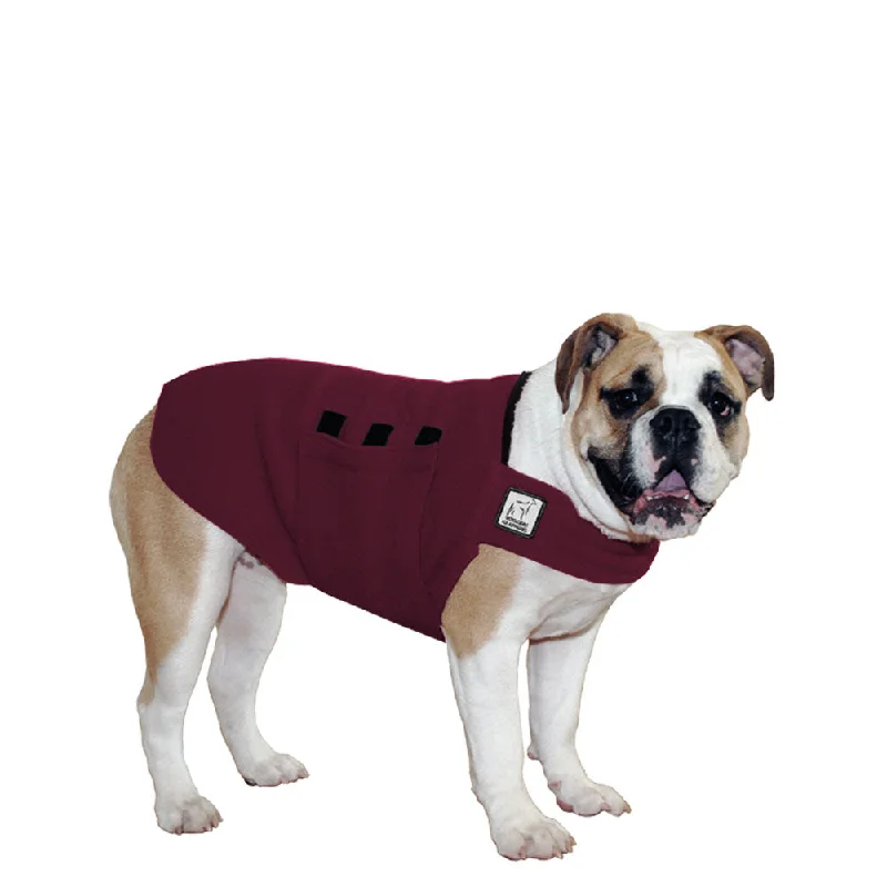 Pet walking leash setEnglish Bulldog Tummy Warmer