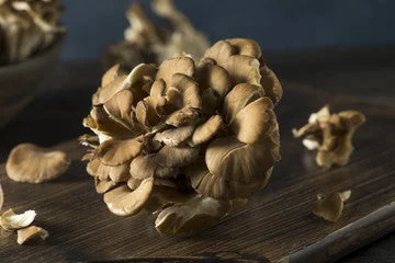- Pet monitor with cameraOrg Maitake Mushrooms (per lb.)