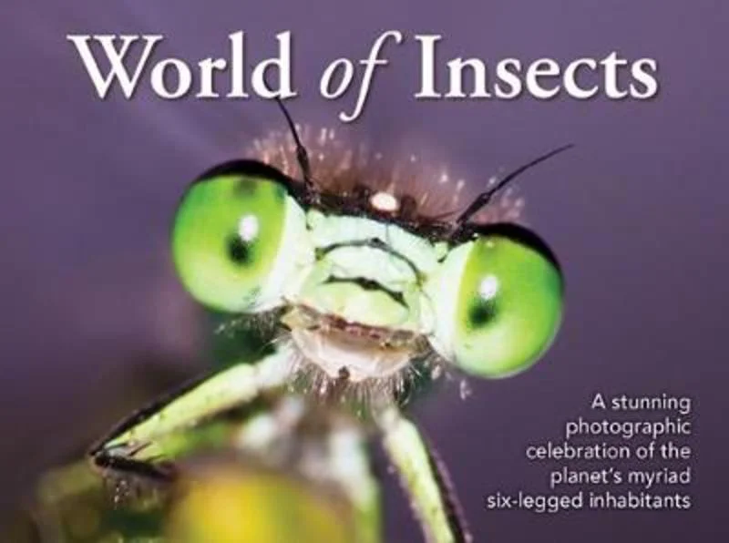 - Cat anti-jump window safety netWorld of Insects