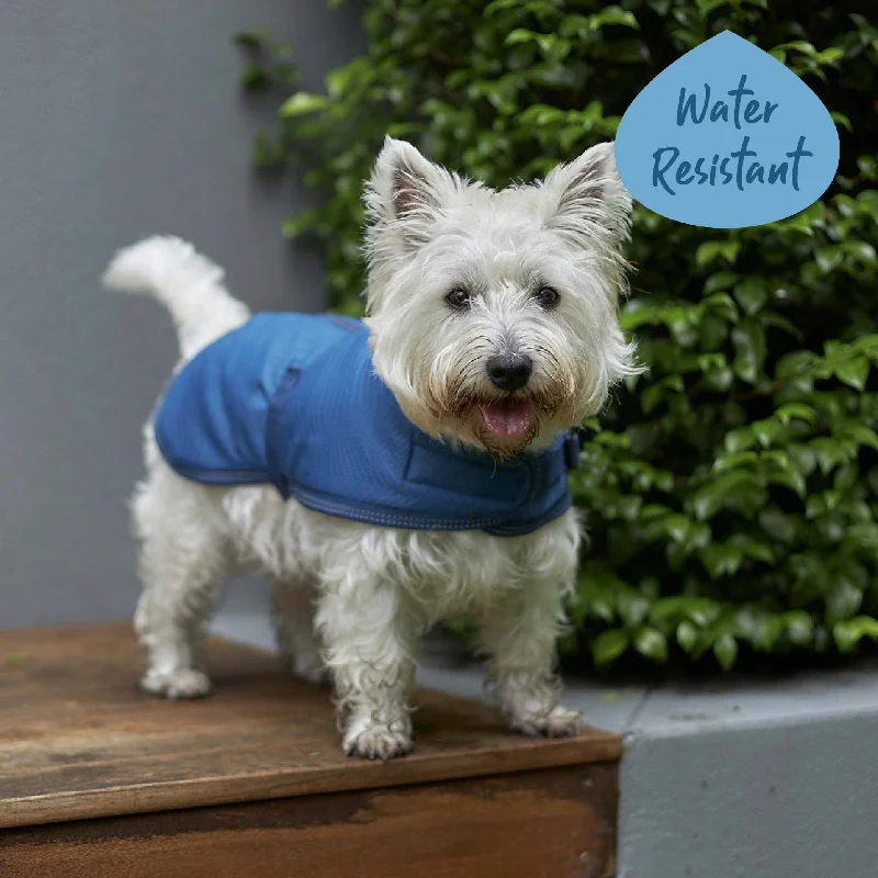 - Dog disposable foam shower gelAdventure Dog Coat - River