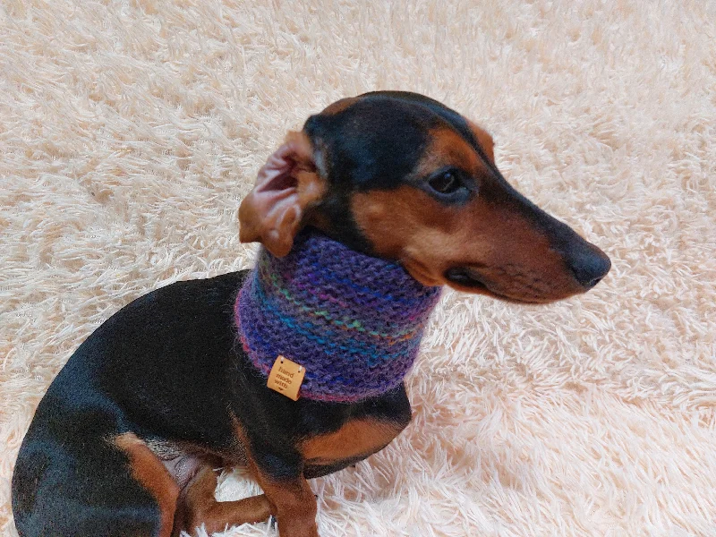 ---Wool scarf snood for dog, scarf snood for small dogs, snood for dachshund, scarf for dachshund ---Wool scarf snood for dog, scarf snood for small dogs, snood for dachshund, scarf for dachshund