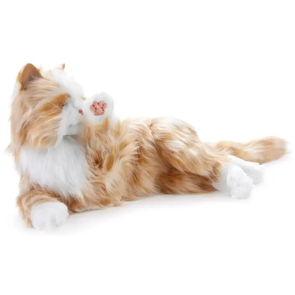 - Deodorizing cat litter tofu litterAgeless Innovations Tabby Cat Interactive Companion - Deodorizing cat litter tofu litterAgeless Innovations Tabby Cat Interactive Companion