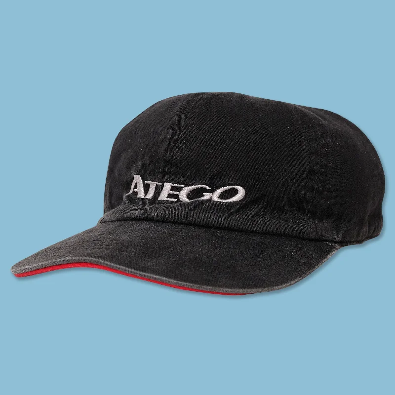 - Pet diabetes prescription foodVintage Atego Reversible Velcro Back