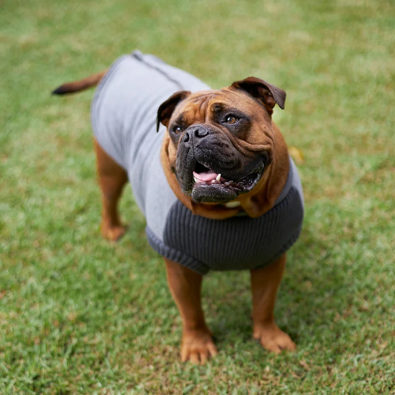- Automatic induction pet water dispenserArmadillo Dog Jacket