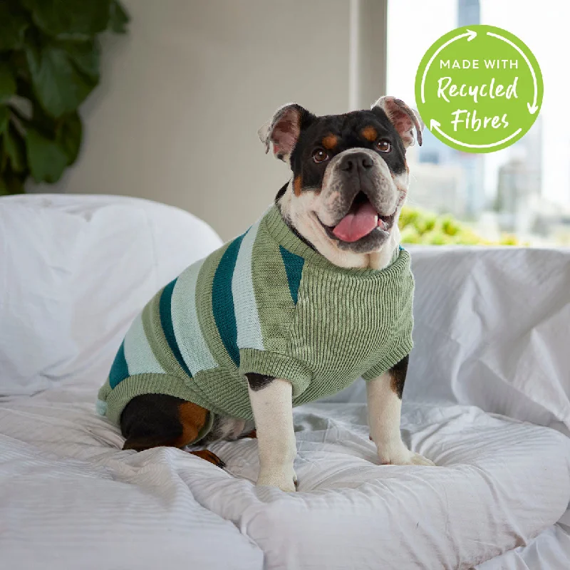 - Dog anti-slip matChestie Dog Jumper - Forest