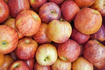 - Parrot climbing and standing wooden frameOrg Gala Apples (per pound)