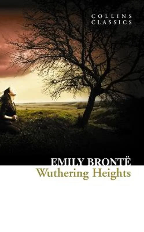  -Non-contact cat thermometerWuthering Heights