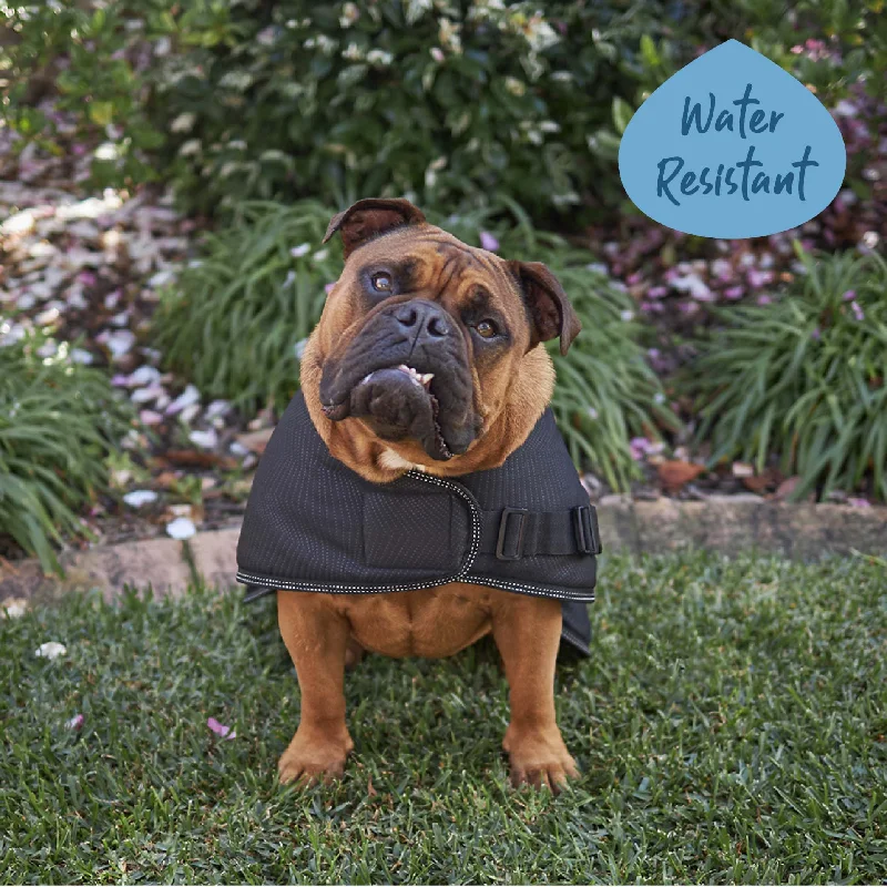 - Pet smart GPS locatorAdventure Dog Coat - Black