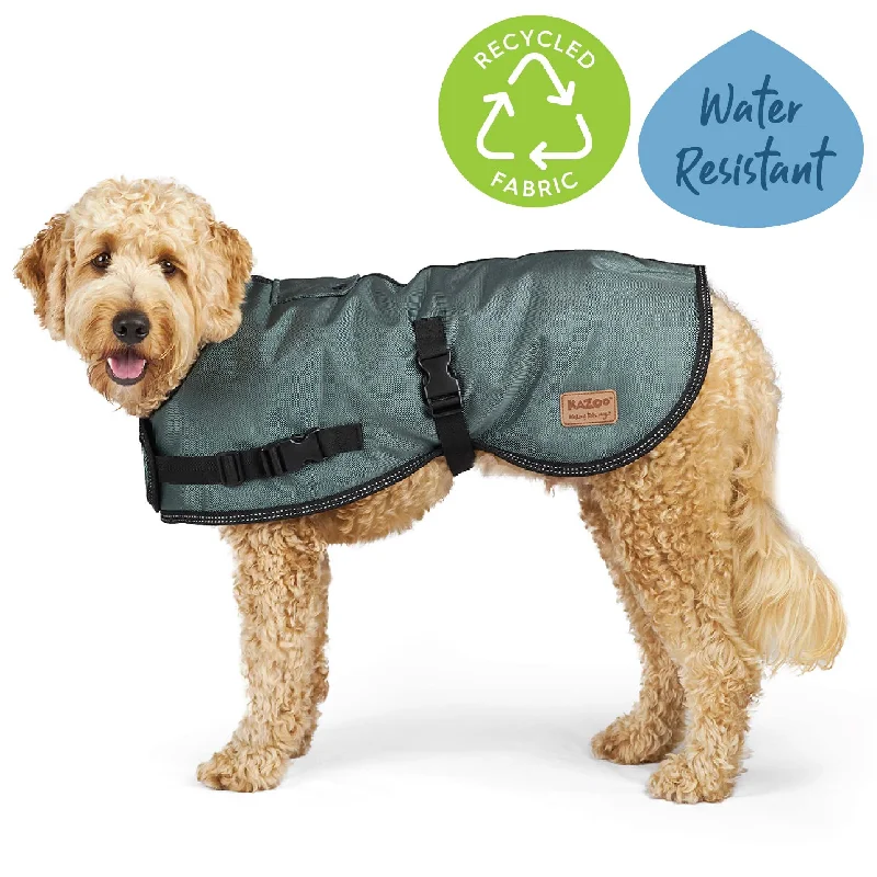 - Cat nail clippers with LED lightsEco Adventure Dog Coat - Slate