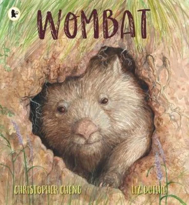  -Non-contact cat thermometerWombat