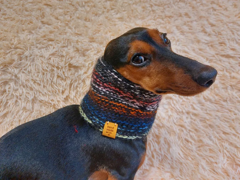 - Pet fence foldable indoorSnood wool winter for dogs, warm neck dog wool snood, dachshund clothes winter snood scarf - Pet fence foldable indoorSnood wool winter for dogs, warm neck dog wool snood, dachshund clothes winter snood scarf