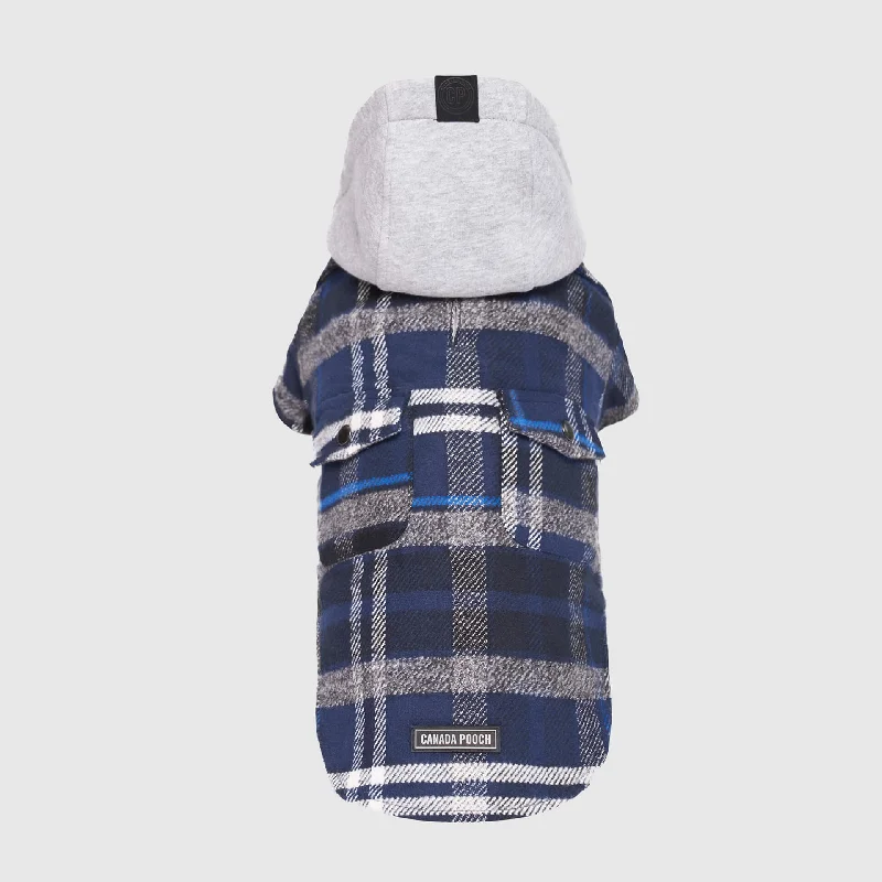 Blue Plaid