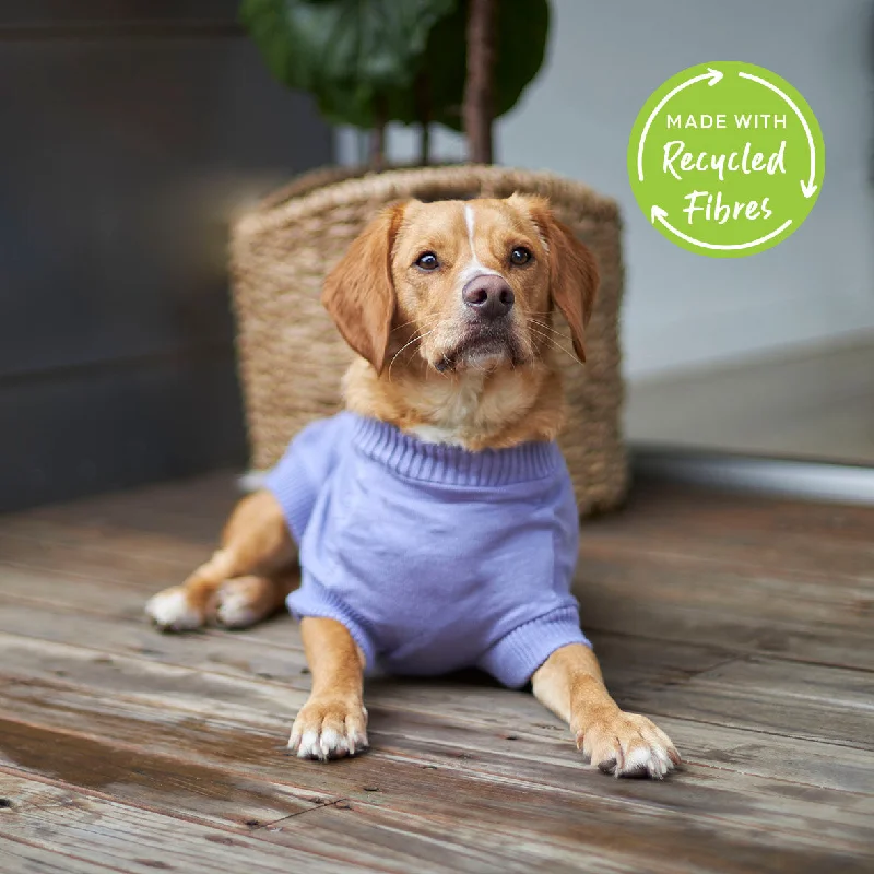 - Pregnant cat delivery room warming boxHeart Knit Dog Jumper - Purple