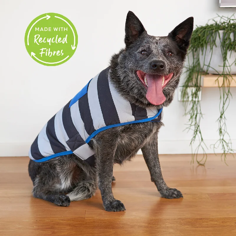 - Summer pet ice matChunky Stripe Dog Snuggie