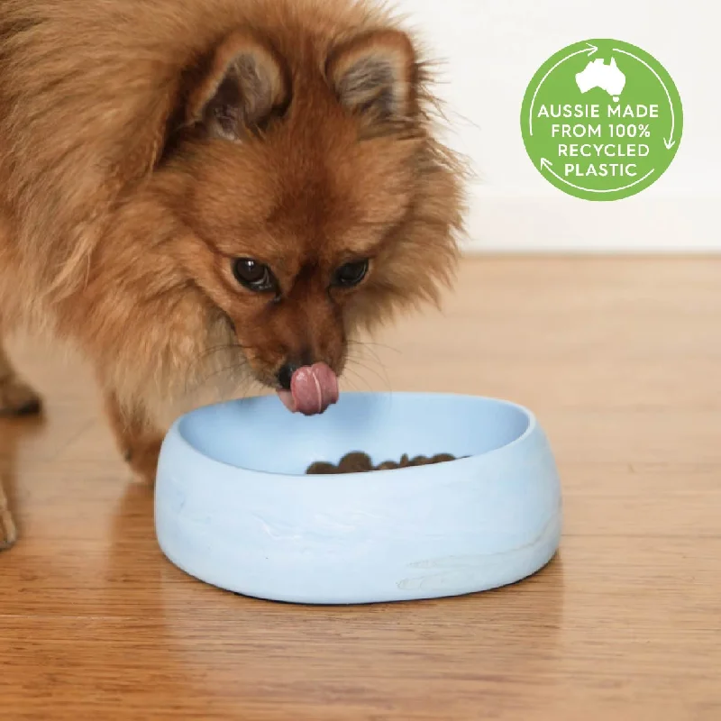 - Cat anti-jump window safety netBetter Bowl For Dogs - Ocean Blue