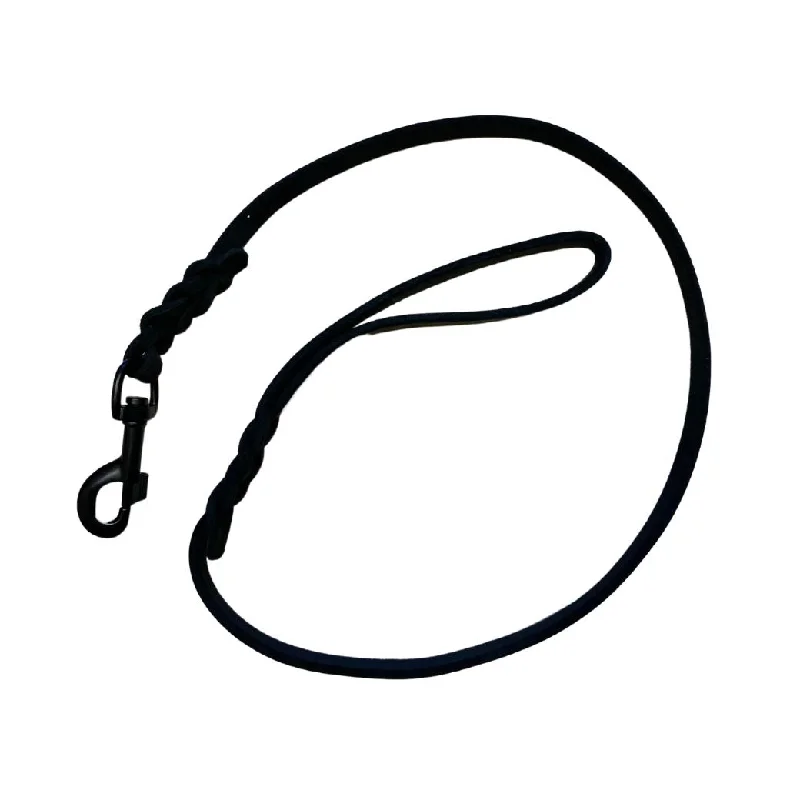 - Custom pet birthday cakeSchweikert Braided Leather Leash with Black Bolt