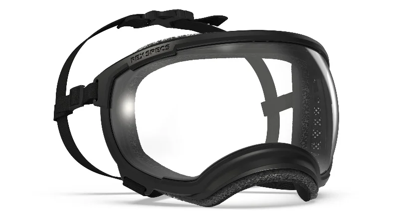 Frame Color: Black