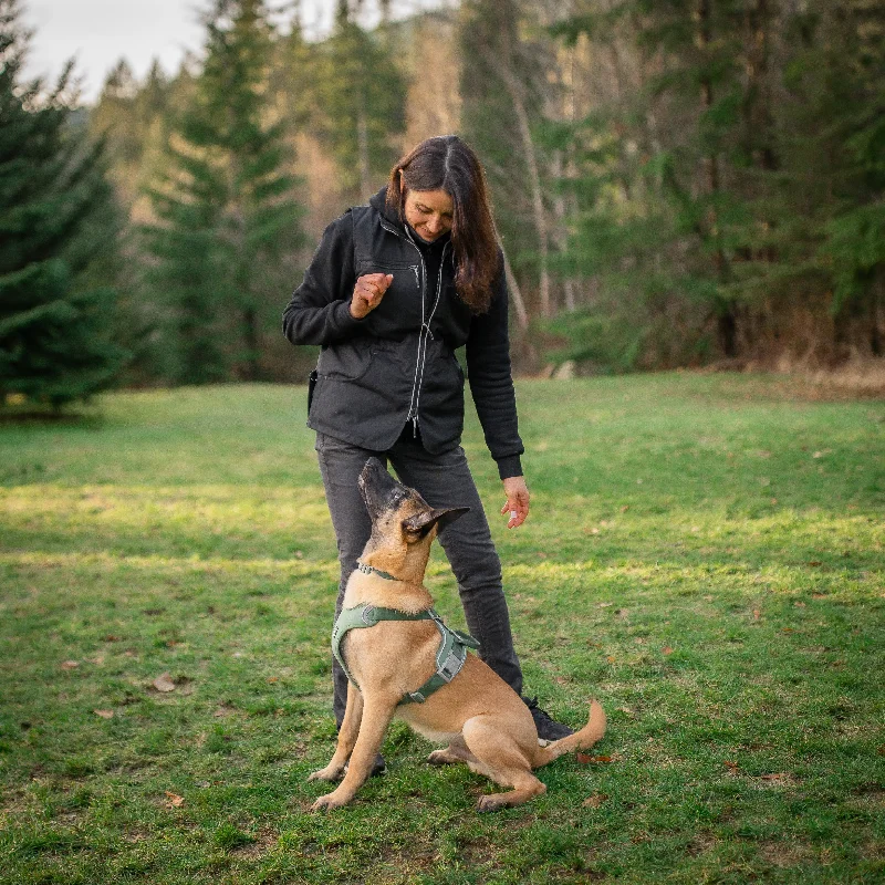- Organic cotton dog bibsPet Dog Training 10-Pack