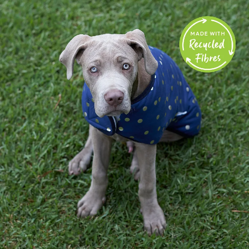 - Durable nylon dog leash wholesaleConfetti Snuggie Dog Jacket