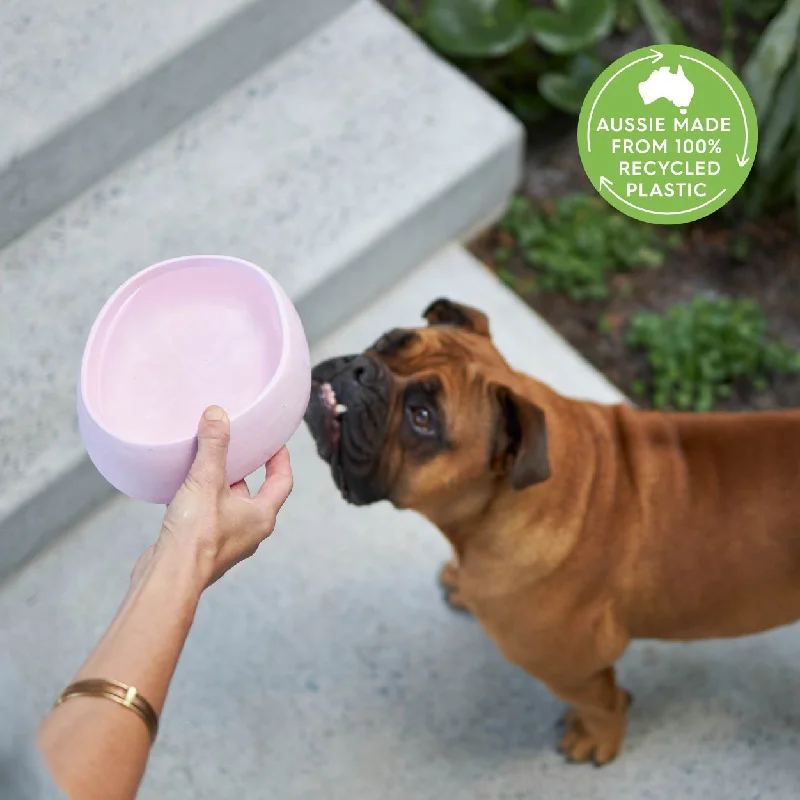 - Pet fence foldable indoorBetter Bowl For Dogs - Musk Pink
