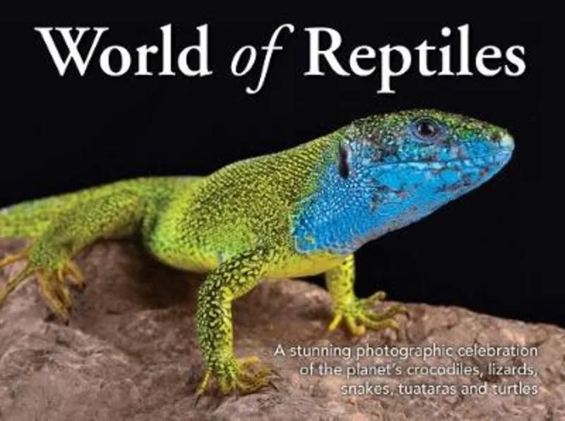 - Pet vitamin complex nutrition tabletsWorld of Reptiles