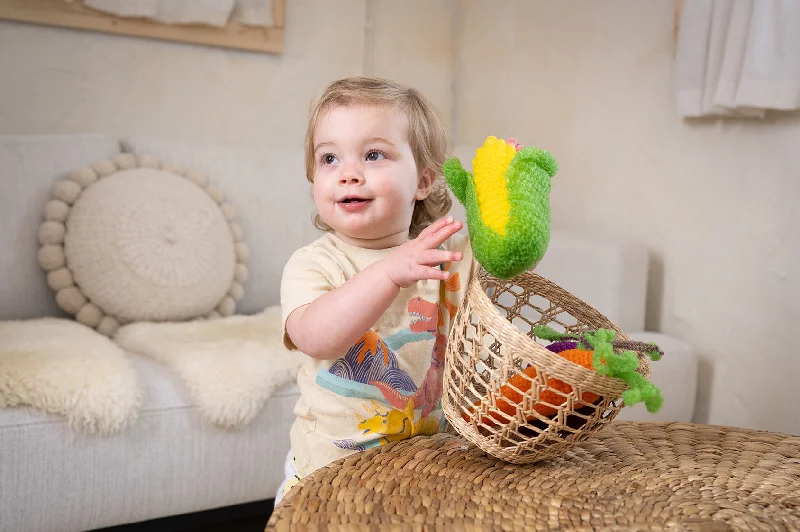 - Degradable pet feces bagCorn Scrubbie (Crochet)