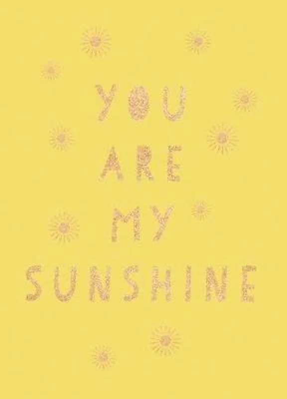 - Foldable and portable cat bagYou Are My Sunshine