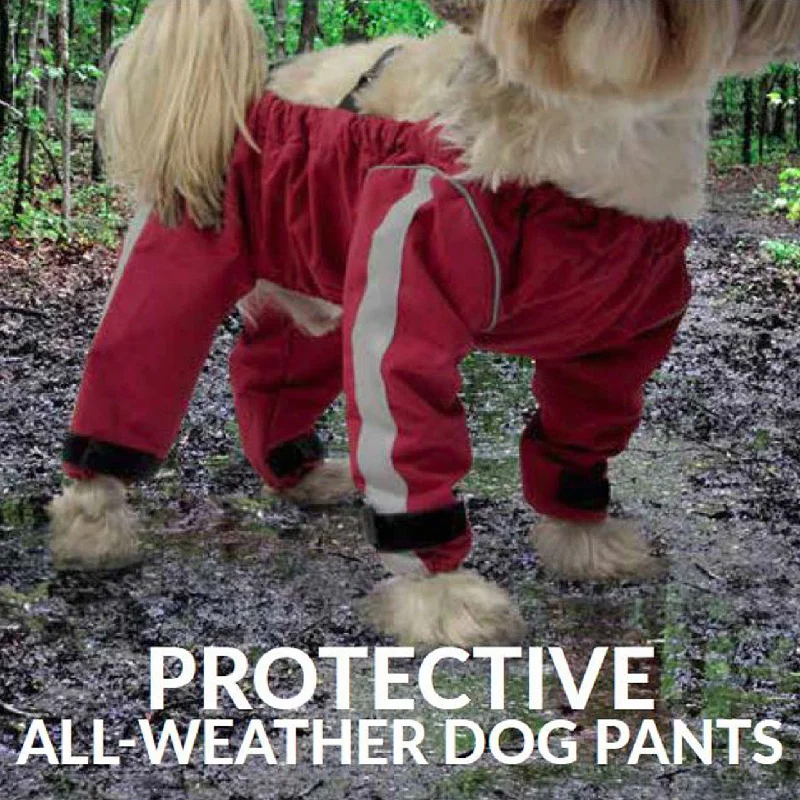 Pet cotton clothesFouFou Dog - Bodyguard