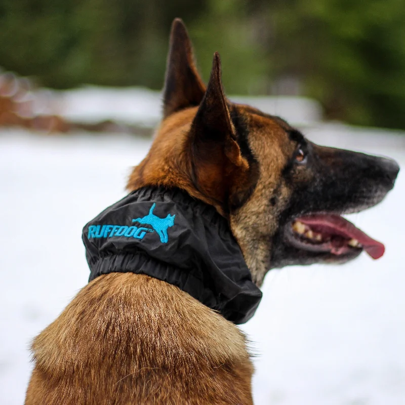 - Hamster silent running wheel to prevent chewingRuffdog Dog Training Collar Cover