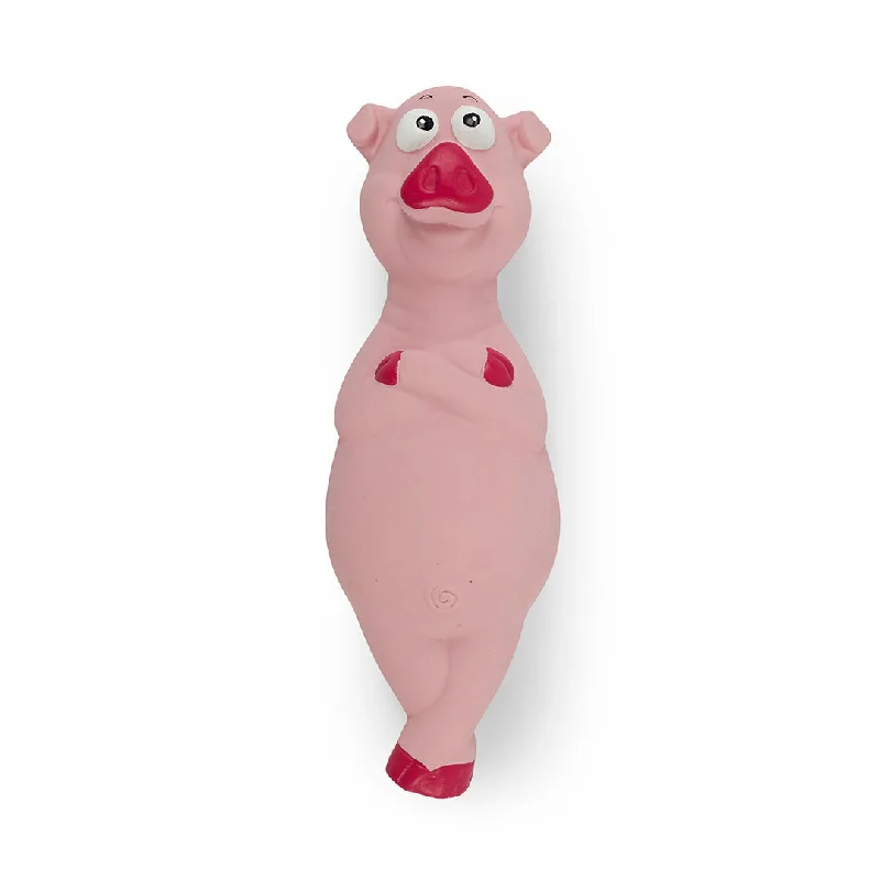 - Pet vitamin complex nutrition tabletsPoised Pig Dog Toy
