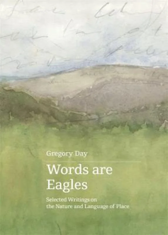 - Hamster silent running wheel to prevent chewingWords are Eagles